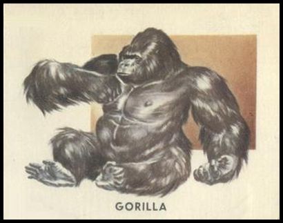 176 Gorilla